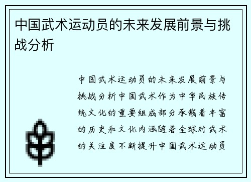 中国武术运动员的未来发展前景与挑战分析